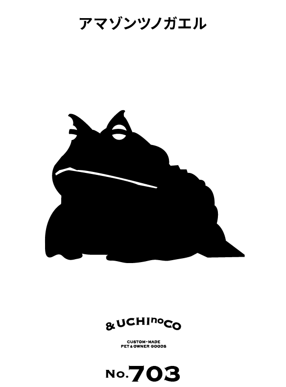 アマゾンツノガエル