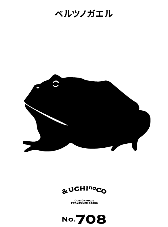 ベルツノガエル