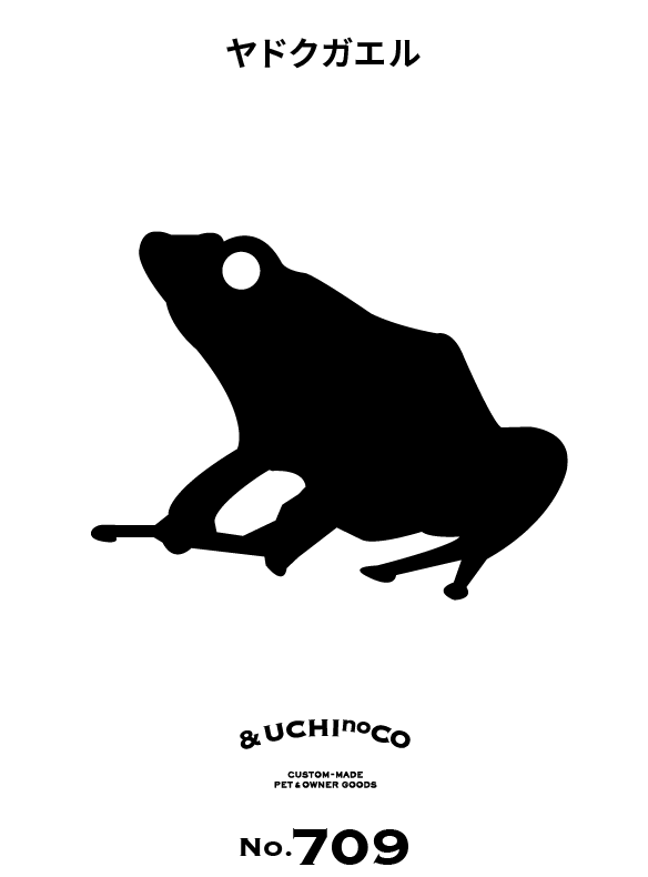 ヤドクガエル