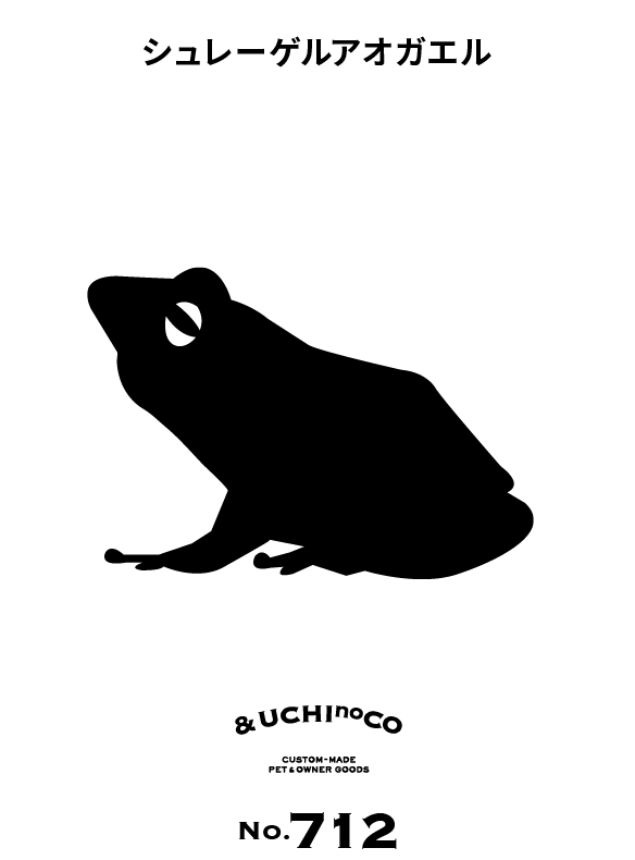 シュレーゲルアオガエル