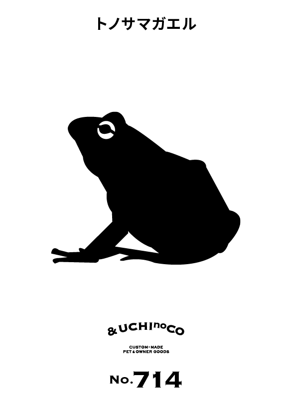 トノサマガエル