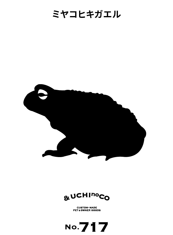 ミヤコヒキガエル