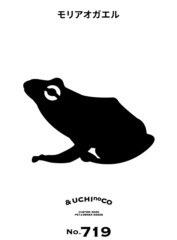 モリアオガエル