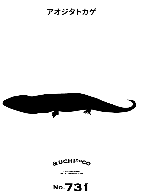 アオジタトカゲ