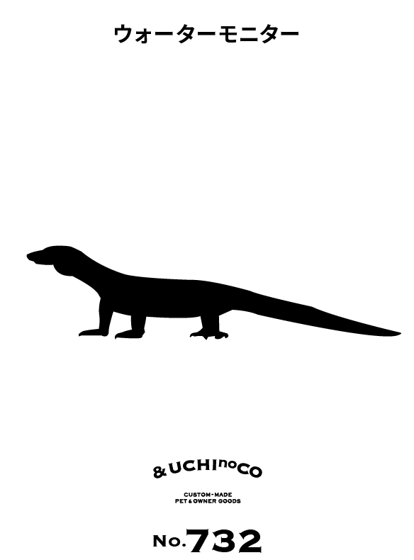 ウォーターモニター