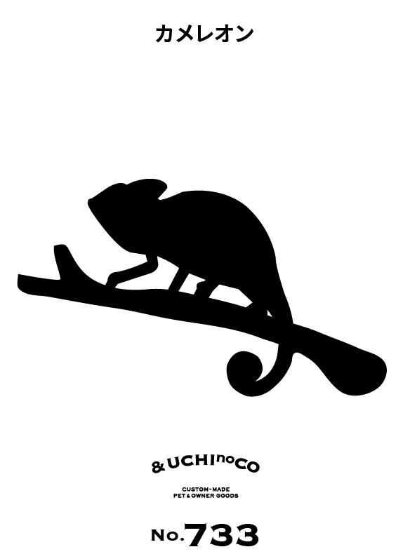 カメレオン