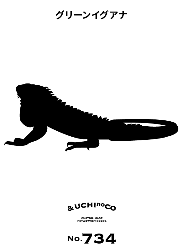 グリーンイグアナ