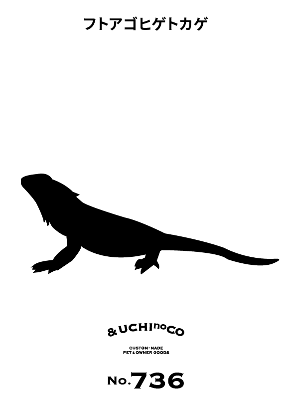 フトアゴヒゲトカゲ