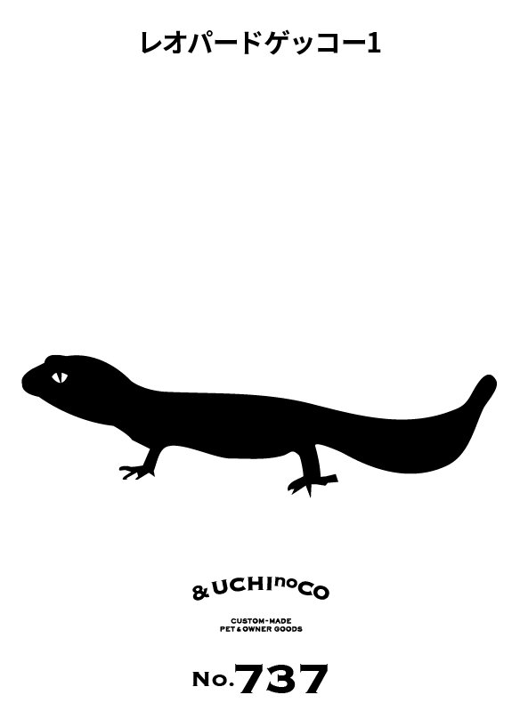 レオパードゲッコー1