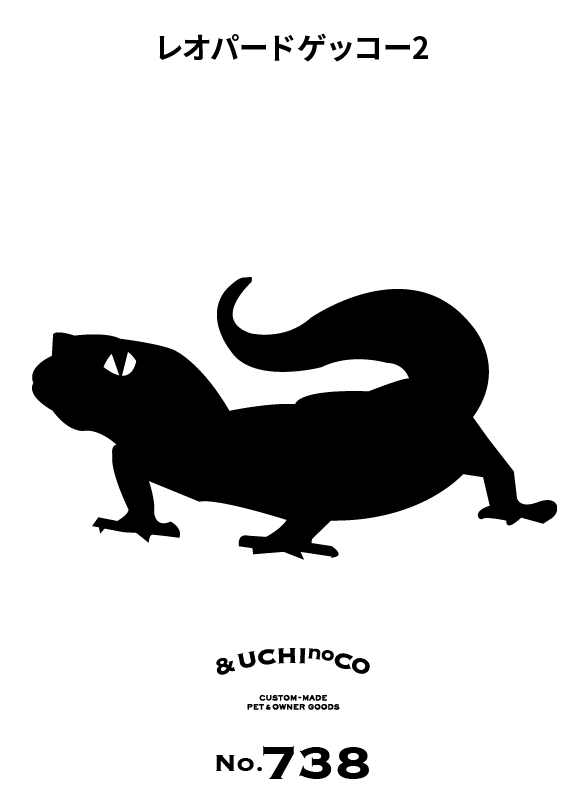 レオパードゲッコー2