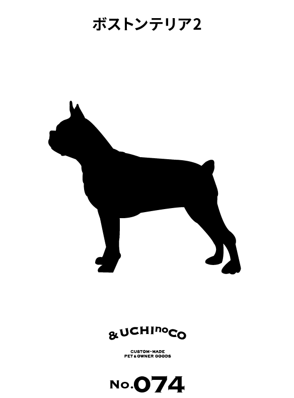 ボストン・テリア2