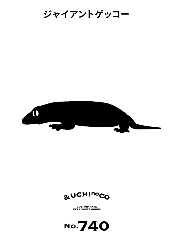 ジャイアントゲッコー