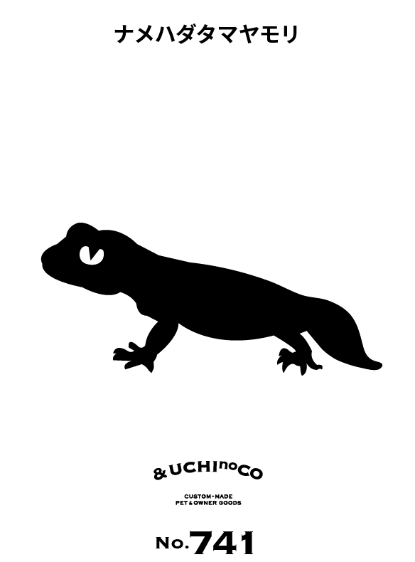 ナメハダタマヤモリ