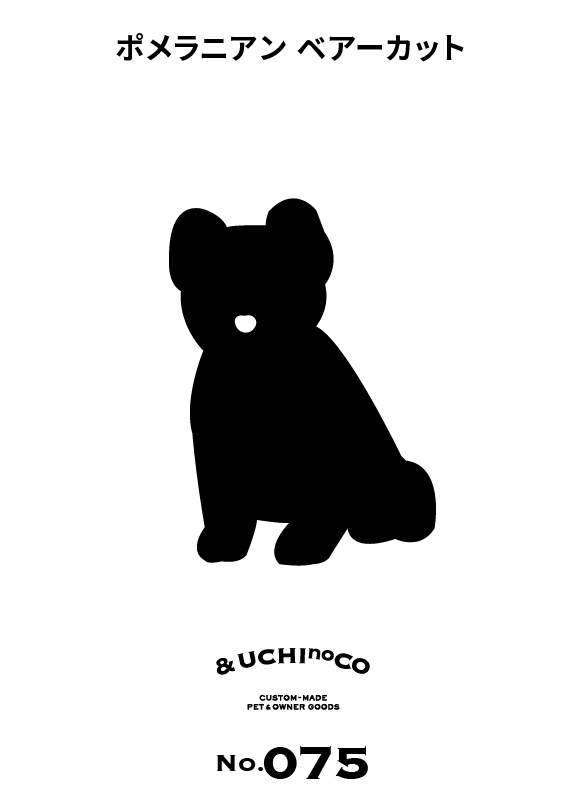 ポメラニアン（ベアーカット）