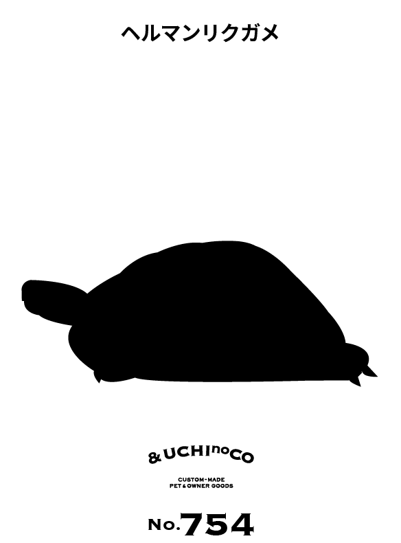 ヘルマンリクガメ