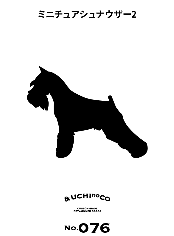 ミニチュア・シュナウザー2