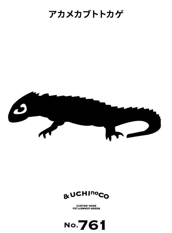 アカメカブトトカゲ