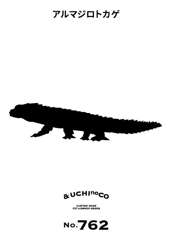 アルマジロトカゲ