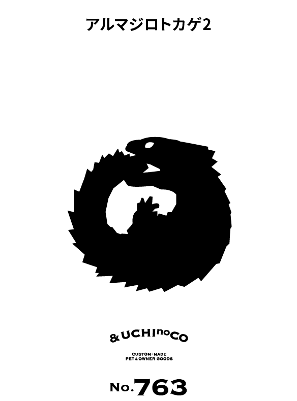 アルマジロトカゲ2