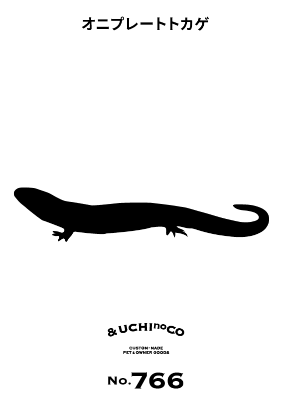 オニプレートトカゲ