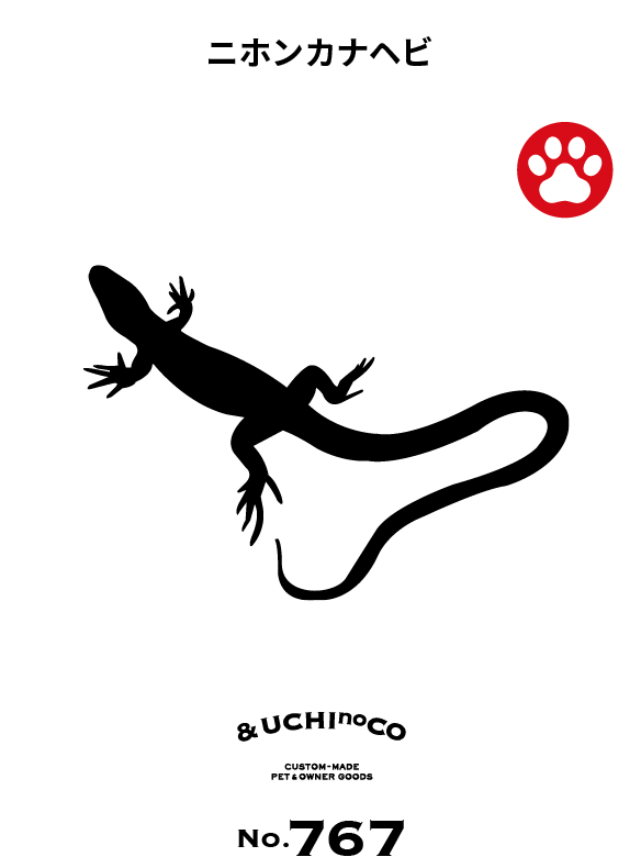 ニホンカナヘビ