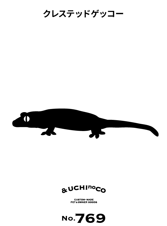 クレステッドゲッコー