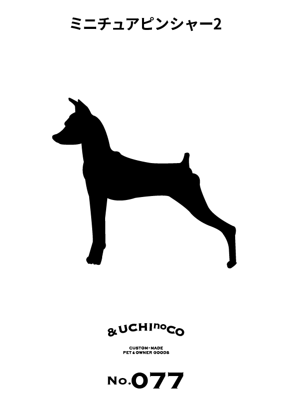 ミニチュア・ピンシャー2