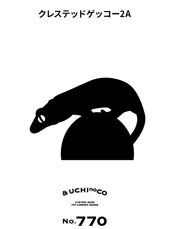 クレステッドゲッコー2