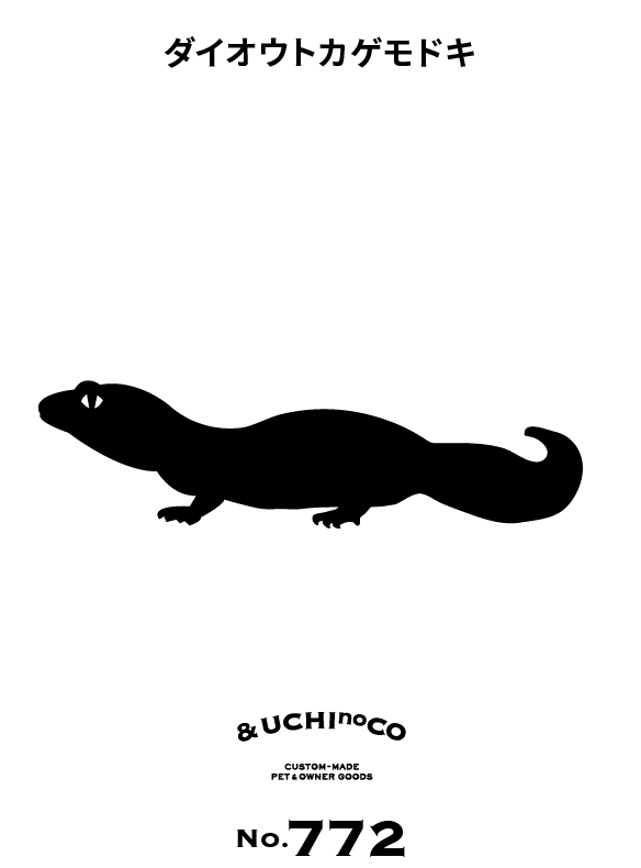 ダイオウトカゲモドキ