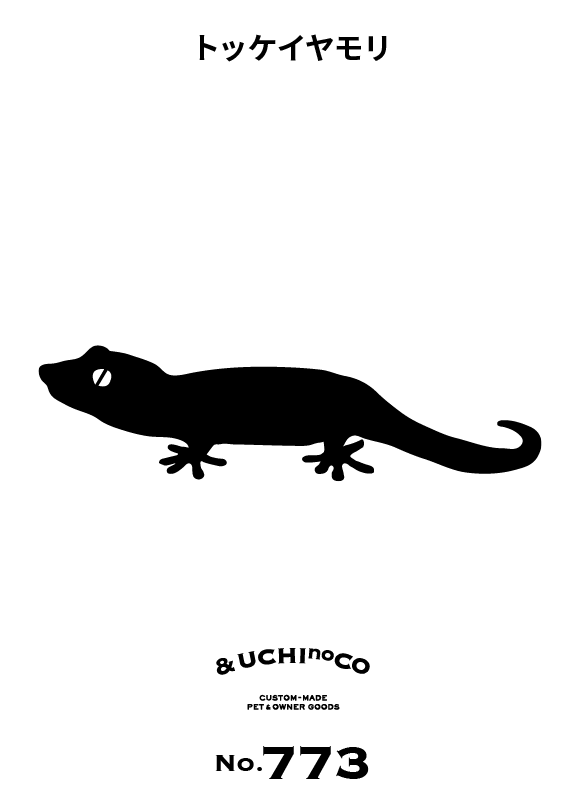 トッケイヤモリ