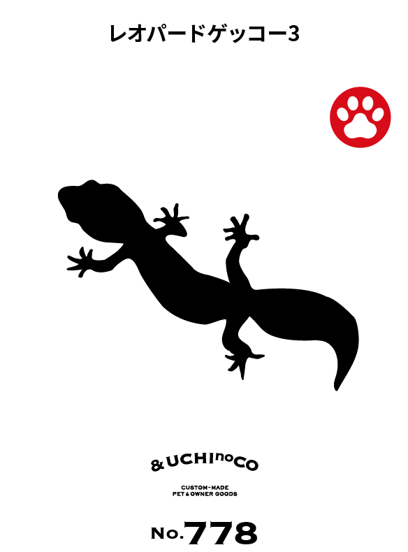 レオパードゲッコー3