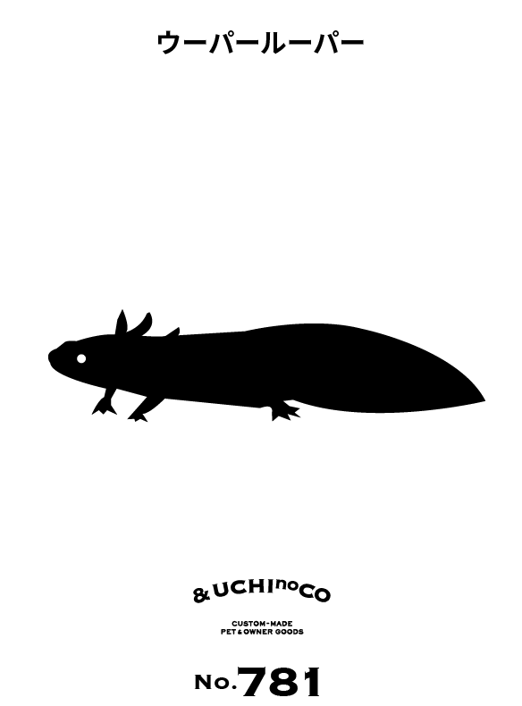 ウーパールーパー