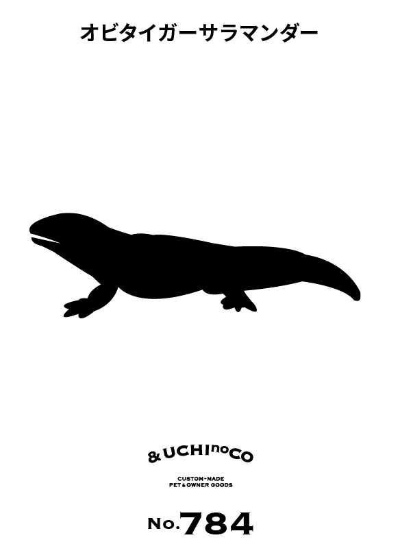 オビタイガーサラマンダー