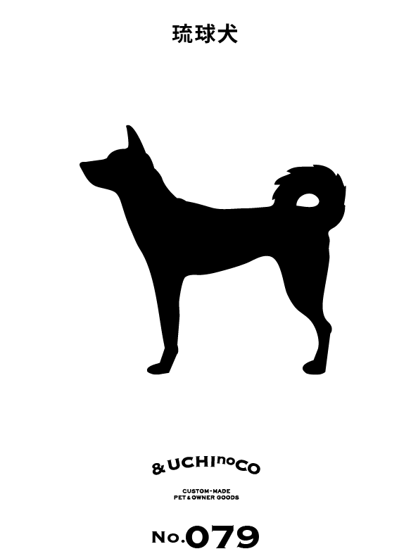 琉球犬