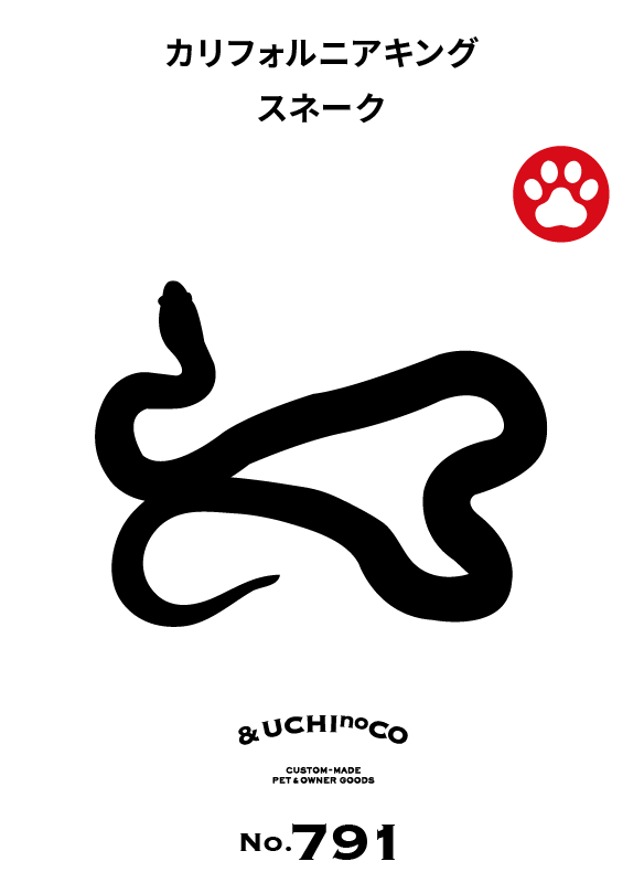 カリフォルニアキングスネーク