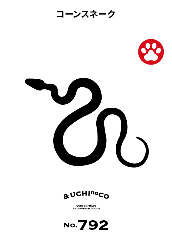 コーンスネーク