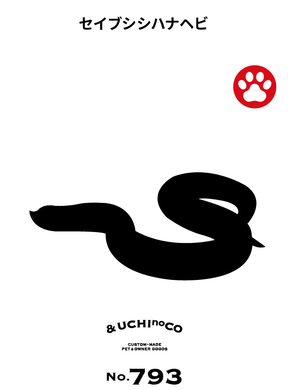 セイブシシハナヘビ