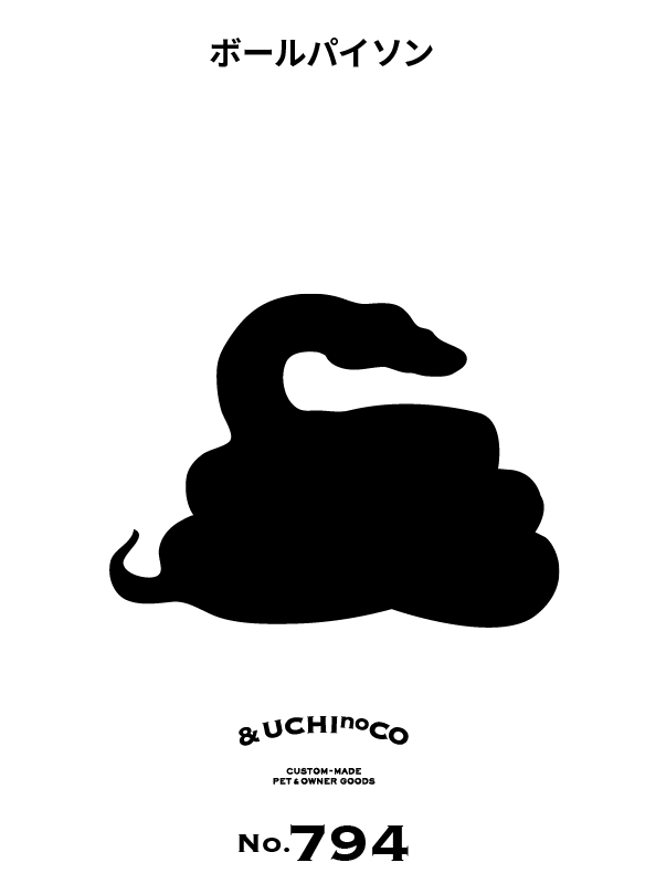 ボールパイソン