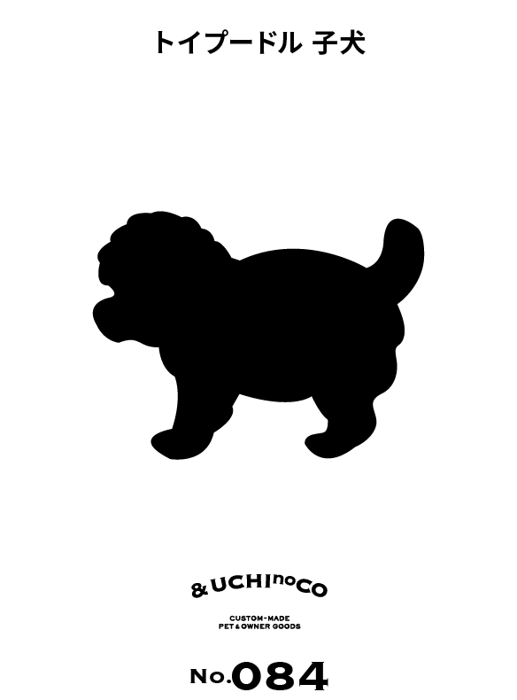 トイプードル 子犬