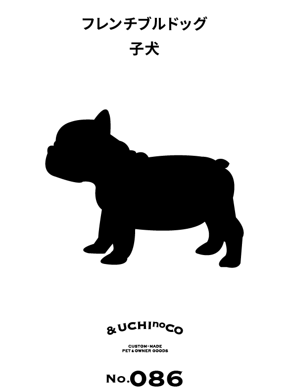 フレンチブルドッグ 子犬