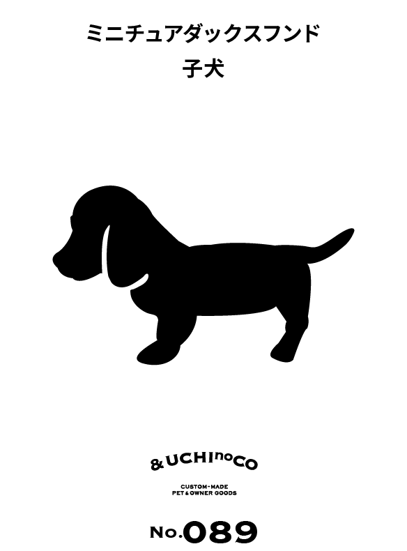 ミニチュア・ダックスフンド 子犬