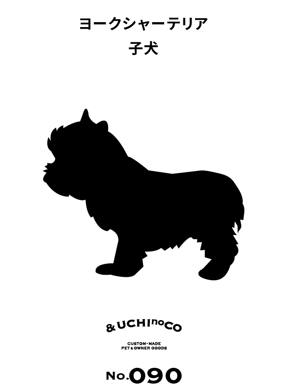ヨークシャーテリア 子犬