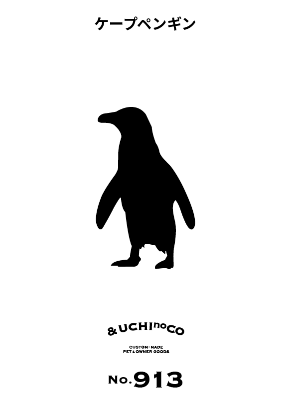 ケープペンギン