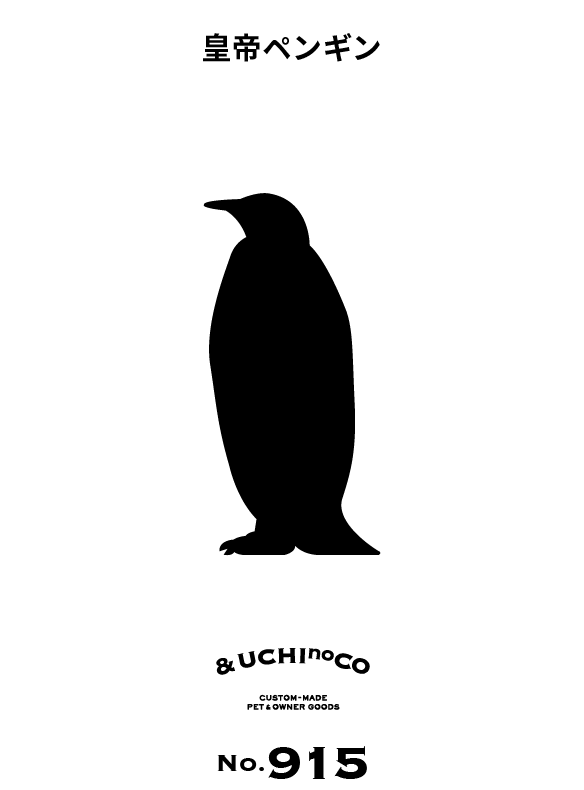 皇帝ペンギン