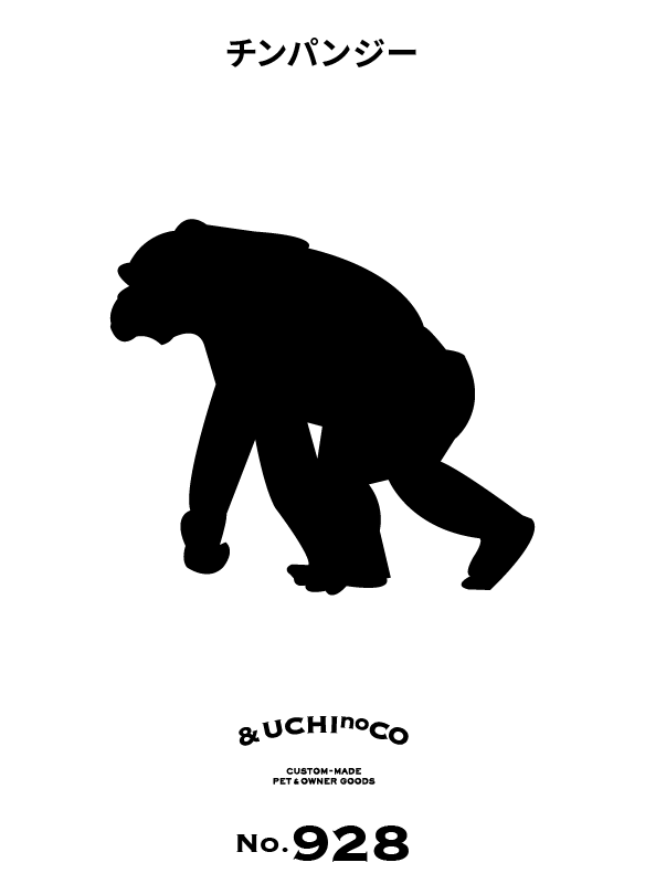 チンパンジー
