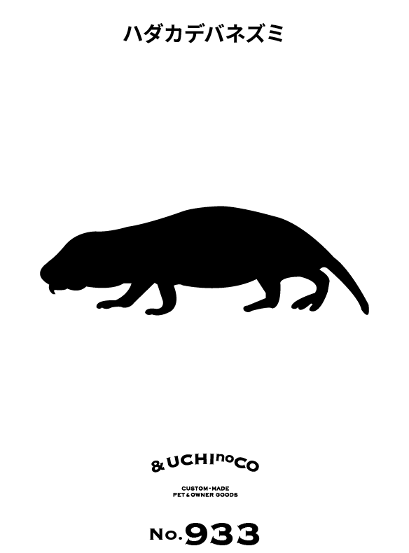 ハダカデバネズミ