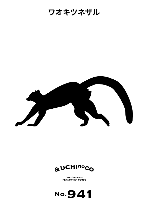 ワオキツネザル