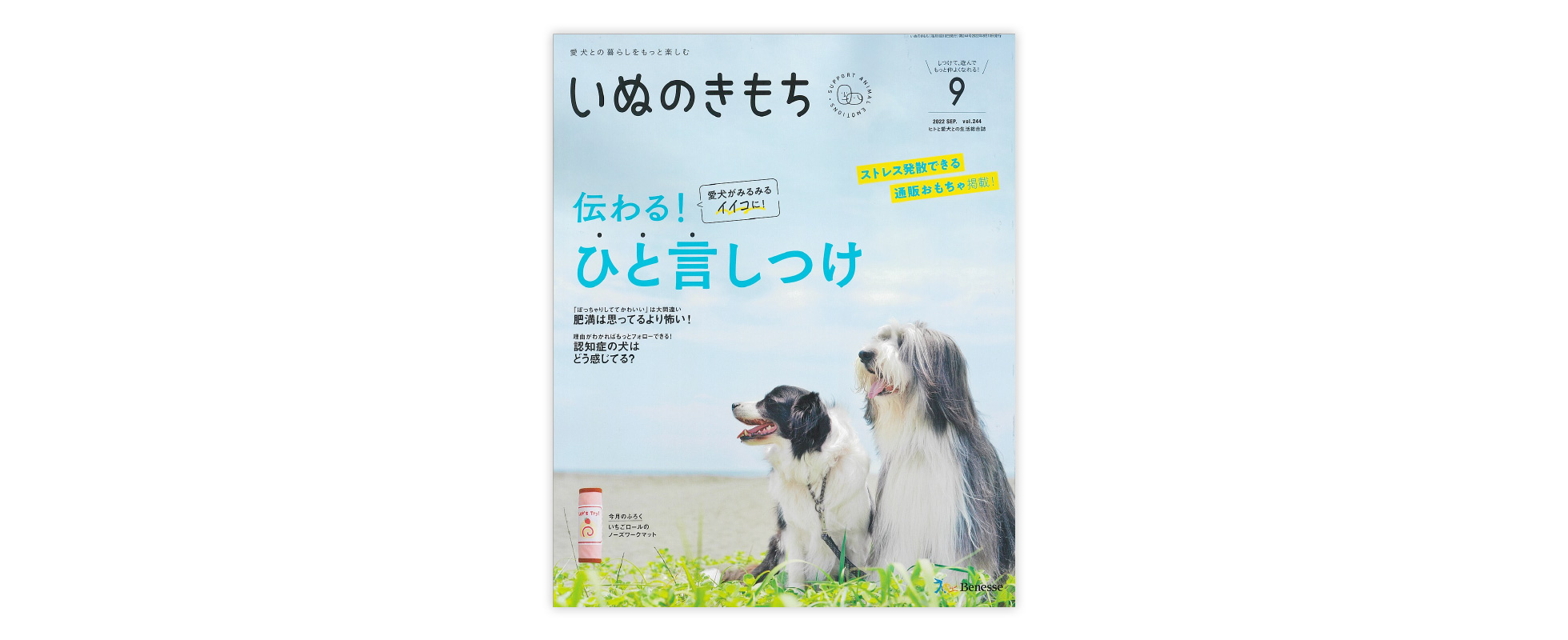 雑誌「いぬのきもち」９月号に掲載